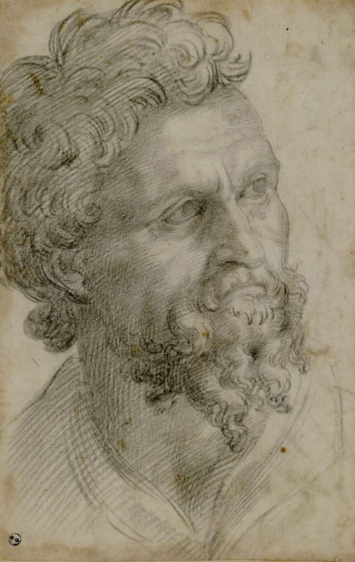 Self-portrait of Benvenuto Cellini